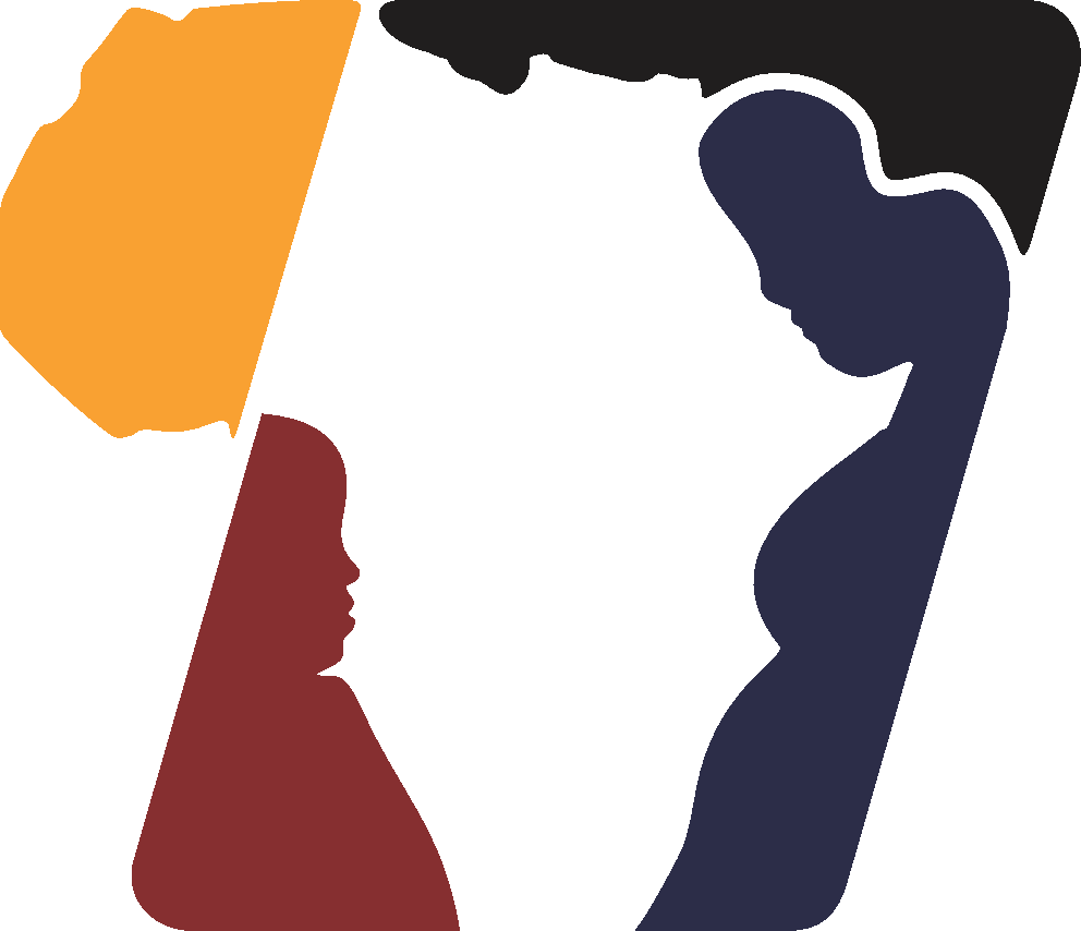 Dixtinct Africa Digital Literacy Hub